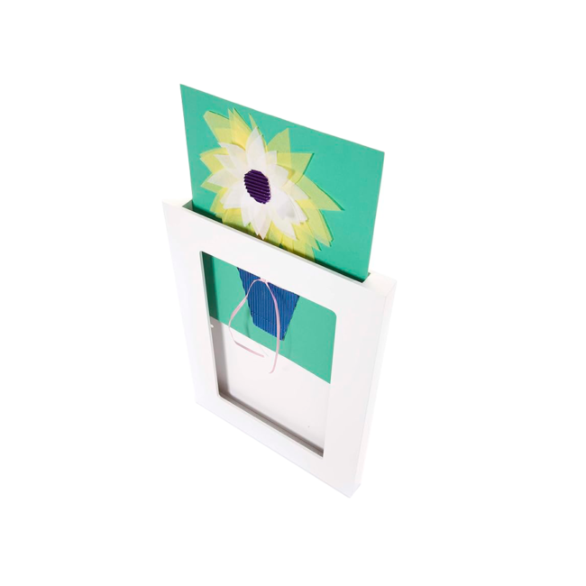 Display box: 1 espacio