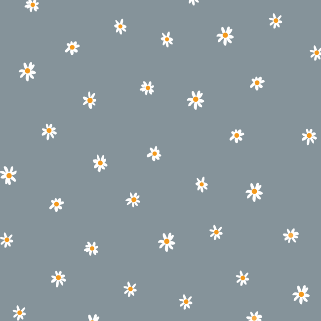 Wallpaper Daisy