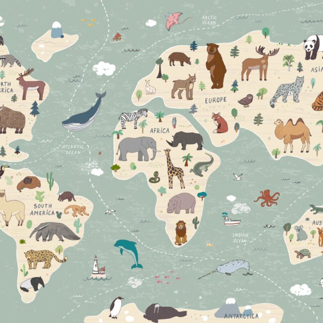Wallpaper Mi Primer Mapa